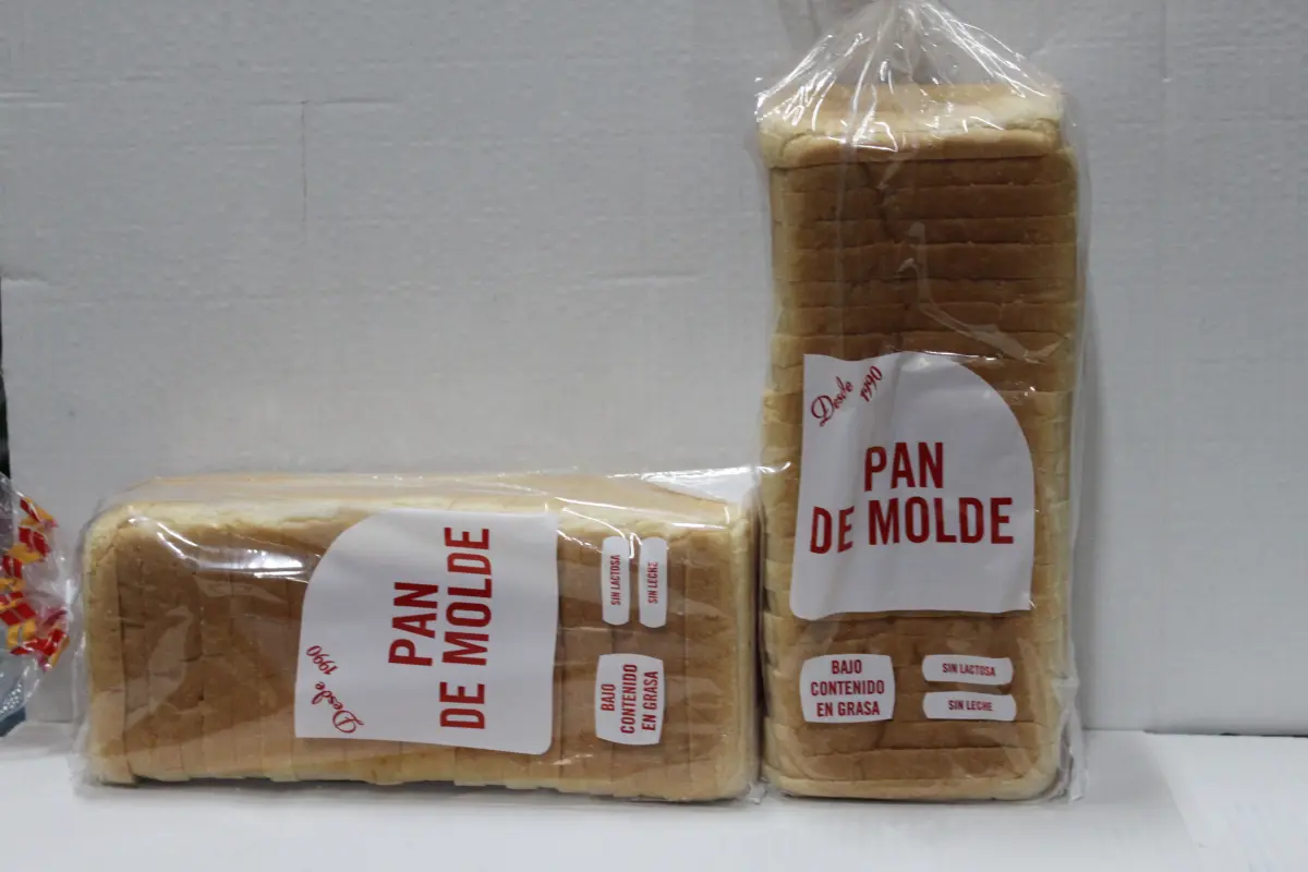 PAN DE MOLDE 500GR C/8 BOLSA P/B 